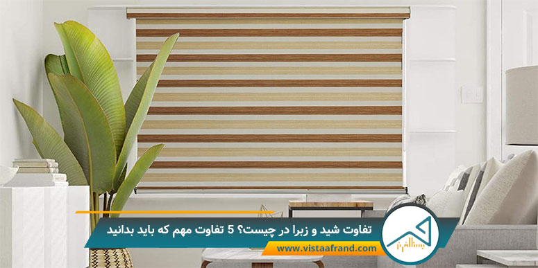 تفاوت شید و زبرا در چیست؟ 5 تفاوت مهم که باید بدانید
